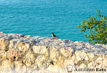 Kenepa Beach - picture of beach