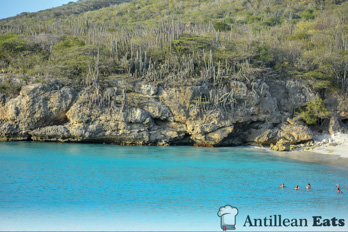 Kenepa Beach - picture of beach