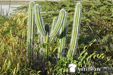Parques y naturaleza